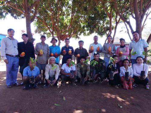 Kamkav Farm plantation, Mondulkiri highlands