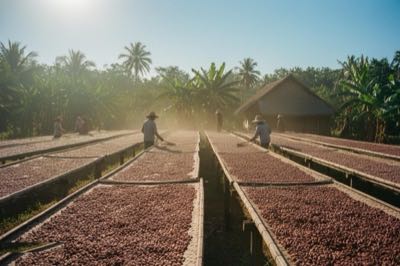 Sun Drying at Kamkav Farm