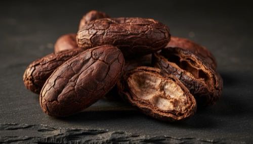Grade I dried cacao beans from Mondulkiri
