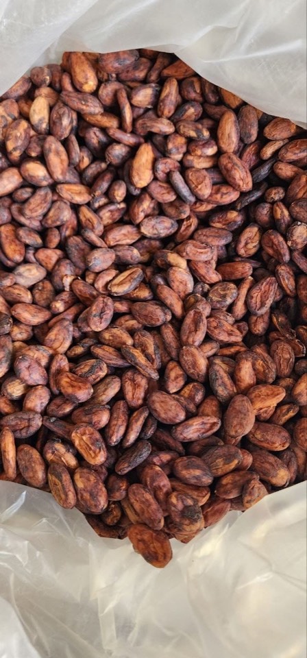 Fermented, dried Kamkav cacao beans in a food-grade liner