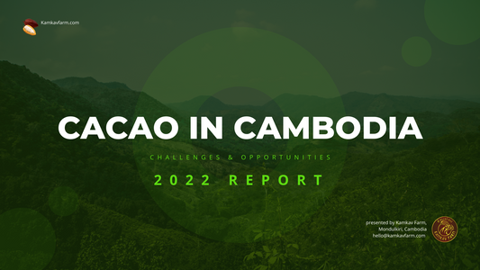 Cacao in Cambodia, Report 2022