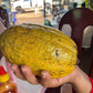 Cacao Beans - origin Cambodia, Mondulkiri - order as from 500 kg